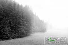 photoshop给野外树林照片添加大雾效果的PS技巧 