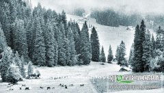 PS把绿色草原风景图片制成雪景效果